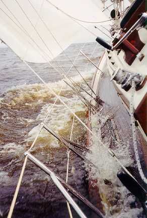 Now here's a satisfying picture for a Baba owner. It sure is nice
when there's enough wind to get the rail in the water!