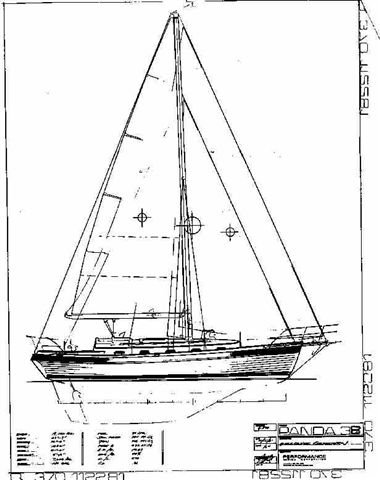 Panda 38 Drawing
